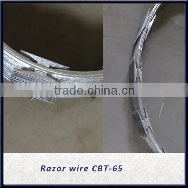 Concertina Razor Barbed Wire photo-2