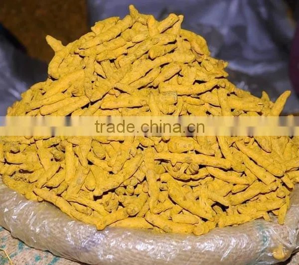 Double Polished Turmeric Fingers