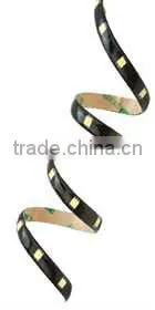 Color Temperature Adjustable Led Strip 3528 Two Color White+warm DC12V photo-2