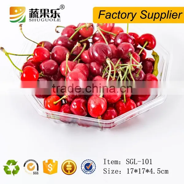 Promotional Transparent Plastic Pet Tray photo-5