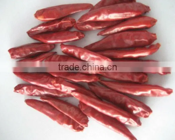 Sell Chaotian Chili photo-2