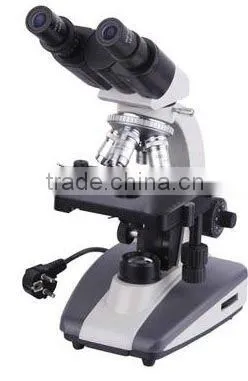 Binocular microscope