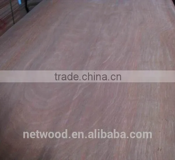 0.3mm Natural Wood Veneer 0.3mm Nature Gurjan Wood Veneer Wood Veneer/keruing Laos photo-6