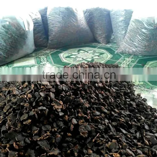 Dried Thai Herbal Kaempferia Parviflora Black Ginger Root photo-2