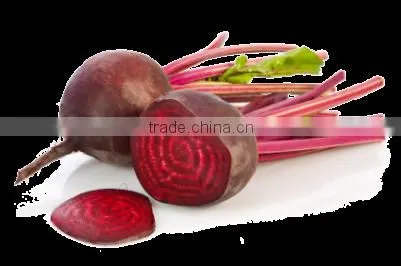 Beet Root Powder photo-3
