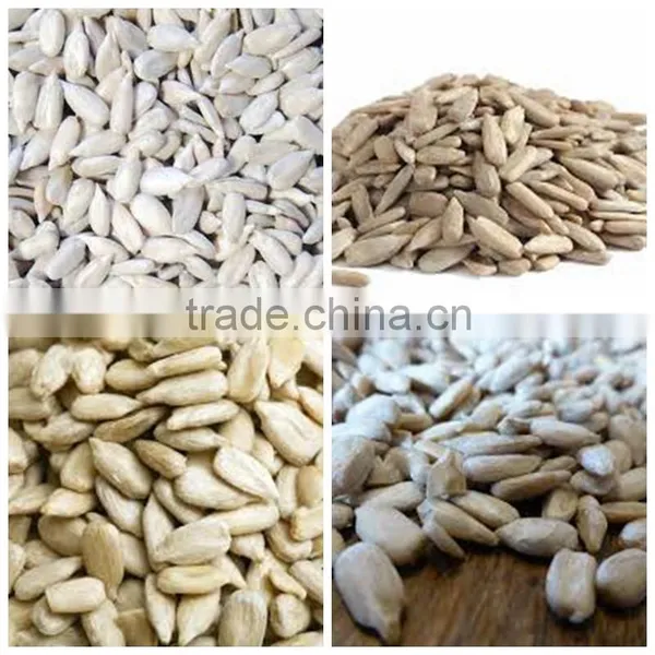 Sunflower Kernels Sunflower Seeds Kernels photo-5