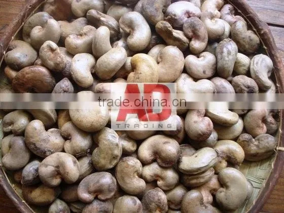 Benin Raw Cashew Nuts for World Market/ Good Quality photo-5