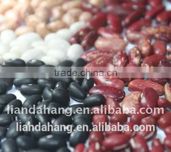 A Range of Kidney Beans photo-5