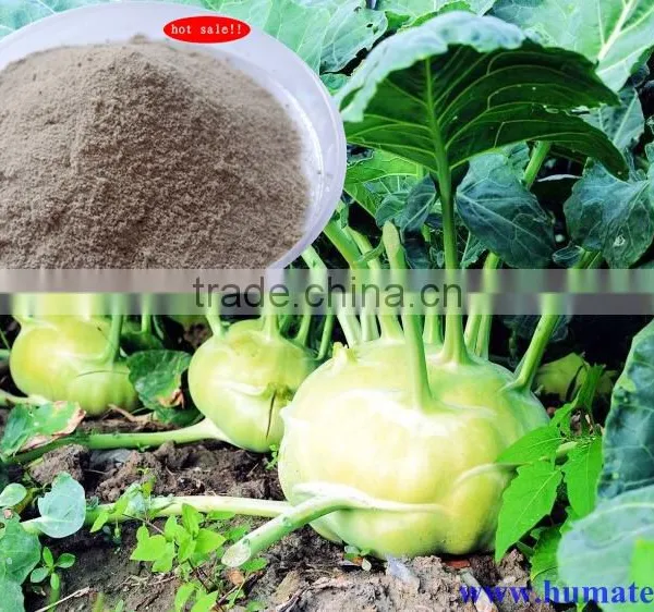 Pure Amino Acids / Vegetable Amino Acids / Amino Acid Fertilizer photo-3