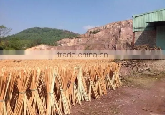 NATURAL WOODEN BROOM STICK FOR MIDDLE EAST MARKET photo-2