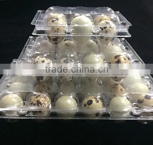 PVC,PE Quail Egg Packaging Boxes Clear Quail Egg Packaging Tray photo-2