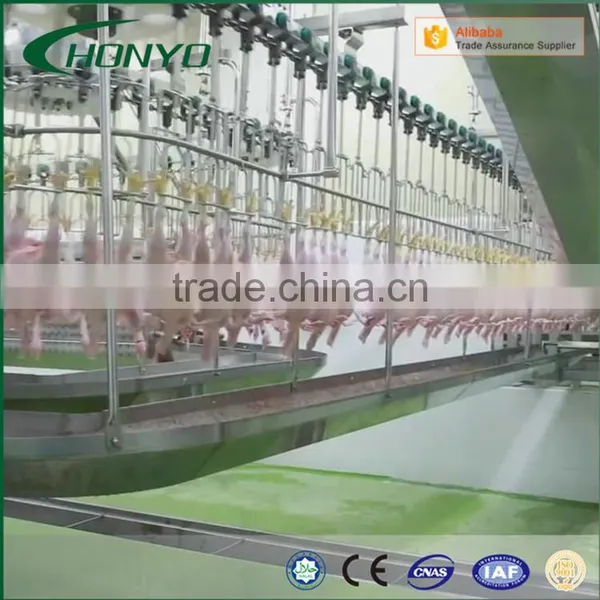 Full Stainless Steel Structure Halal Poultry CHICKEN SLAUGHTER AND ABATTOIR MACHINE LINE photo-6