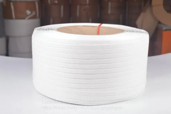 China Made PP Strap / PP Strapping Band / Plastic Strip