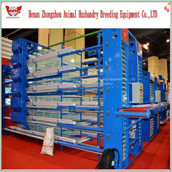 Professional Automatic Chicken Cage for Poultry Chicken Farm photo-2