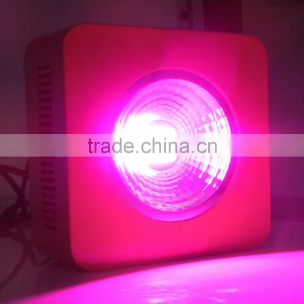 2015 Newest! Hot Sale Full Spectrum COB Led Grow Light,200W Led Grow Light photo-2