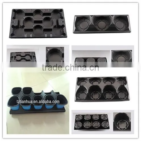 Multicell Plant Trays photo-3