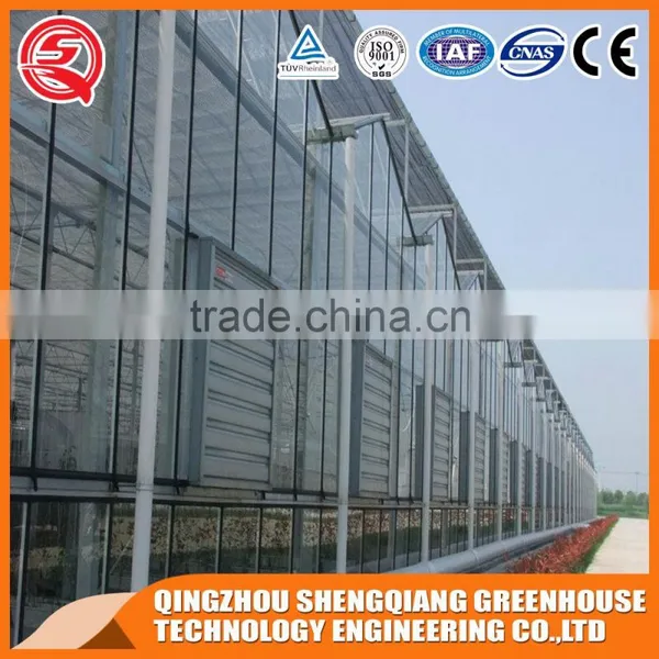 Multi-span Agriculture Glass Greenhouses Control Systems for Sale photo-2