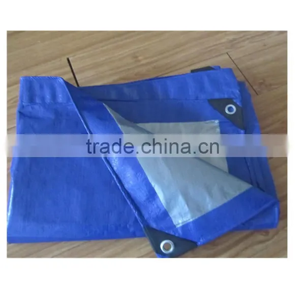 50-350gsm Custom Size Blue and Silver Cheap Price pe Coated Tarpaulin