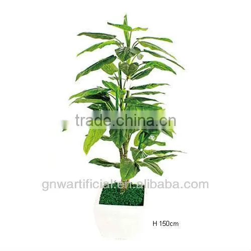 Plant and Tree Nursery Green Mini Plants Indoor Office GNW G120 photo-3