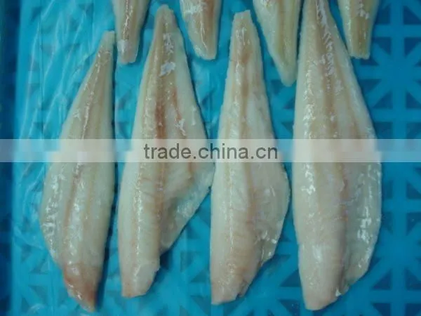 Alaska Pollock photo-2