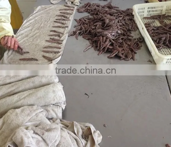 Spain Processing Way Salted Anchovy Fillets photo-3