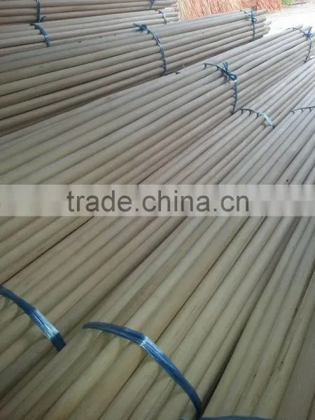 Rattan Polish, Manau Polish 30MM