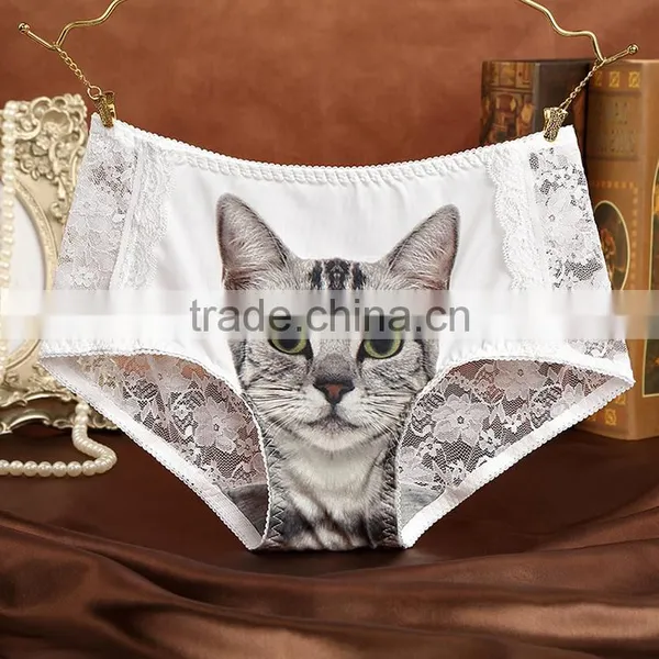 Women Sexy Cat Underwear Panties From China photo-5