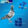 RFID Animal Tag for Pigeon and Chicken and Duck