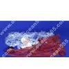 Nylon Net, Fishing Net