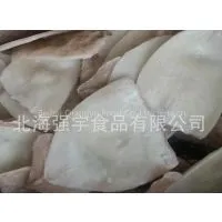 Frozen Squid Fillet