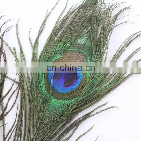 Factory Direct Sale Spot Supply Top Quality Peacock Feather photo-3