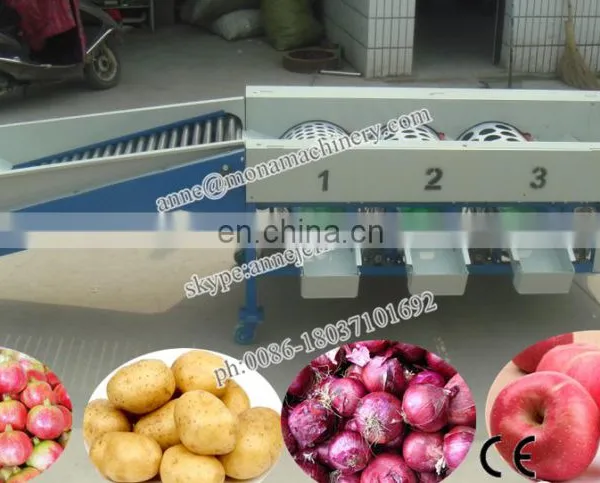 Olive Size Grading Machine/oval Fruit Grader From Fruit Process Machines photo-2