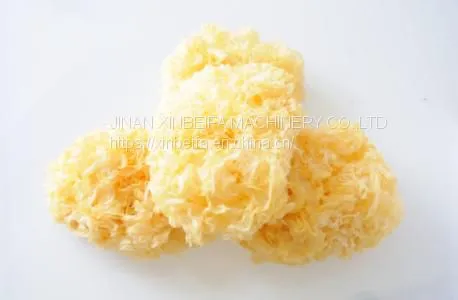 Tremella Drying Machine photo-4