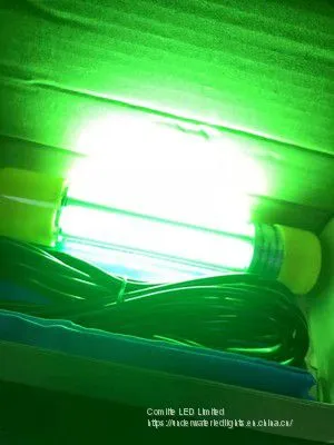 20W 12V LED Underwater Fishing Light Submersible Fishing Light Recreational Fishing photo-4