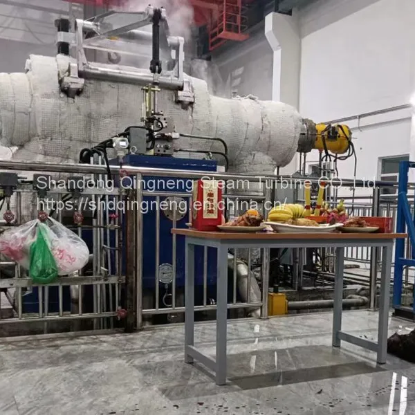 Condensing Steam Turbine/Back Pressure Steam Turbine/Extraction Condensing Steam Turbine/Extractiontraction Back Pressure Steam Turbine/Injection Condensing Steam Turbine/Low Parameter Steam Turbine photo-2