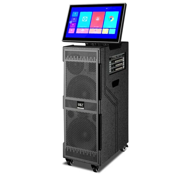 Dual 10-inch Party Entertainment Speaker photo-5