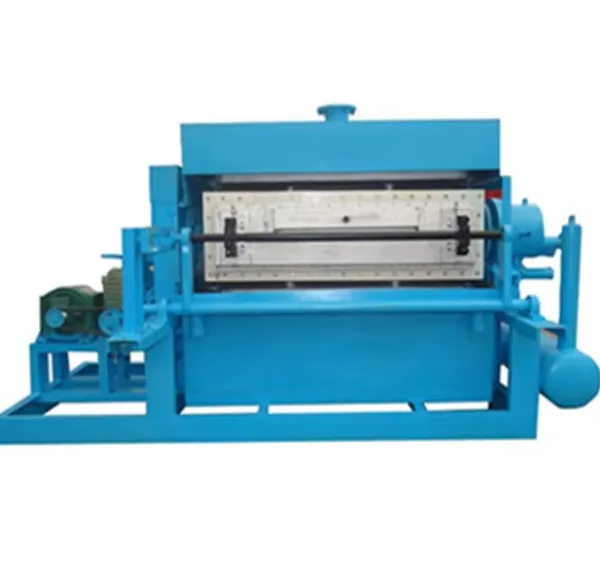 Commercial Paper Pulp Egg Tray Processing Plant8 photo-2