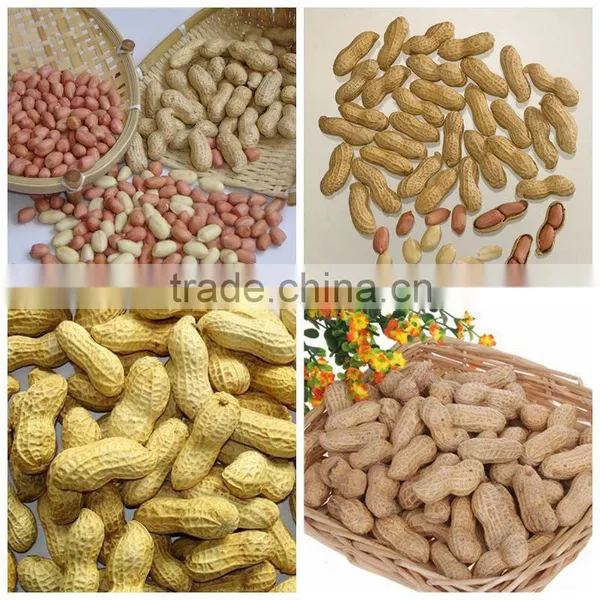Roasted Peanut Inshell,roasted Peanuts