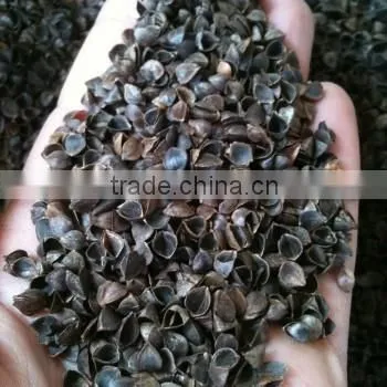 Buckwheat Kernels & Buckwheat Hulls photo-2