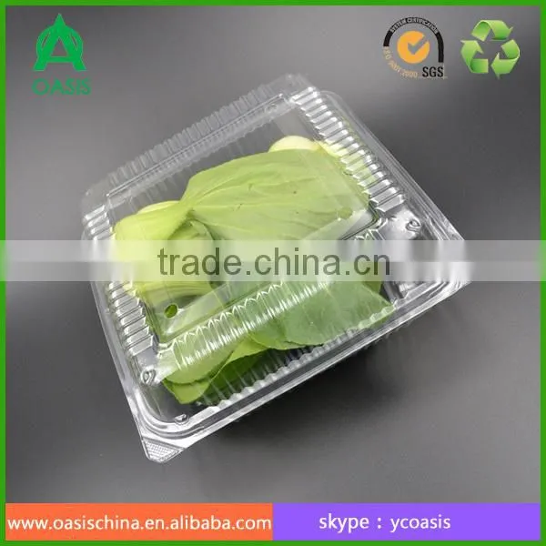 Clear Pet Hinged Lid Plastic Clamshell Container/punnet photo-3