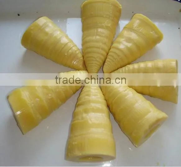 High Quality Canned Bamboo Shoot to European,American,Africa photo-3