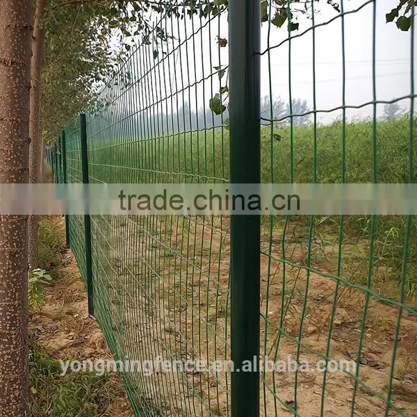 Galvanized and Powder Coating Welded Euro Fence for Sale photo-4