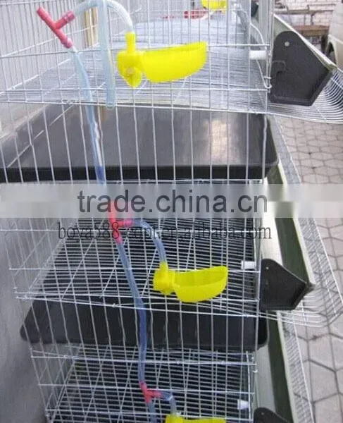Hot Dipped Galvanized Wire Mesh Quail Cage With Automatic Drinking System photo-2