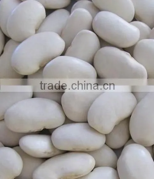 Chinese Large White Kidney Beans for Sale photo-5