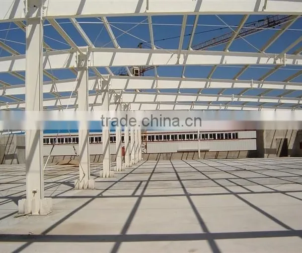 Crane Equiped Large Span Steel Structure Workshop