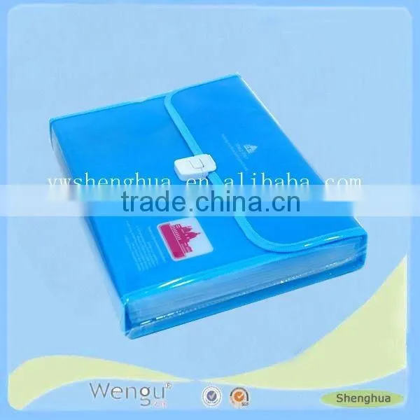 2015 New Design Hot Sale PP Document Bags/ Blue Simple pp File Case photo-2