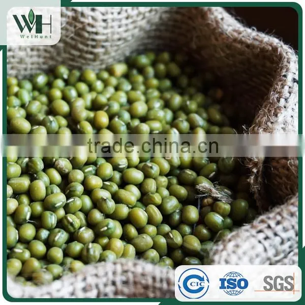 AMA Certified Green Mung Bean photo-6