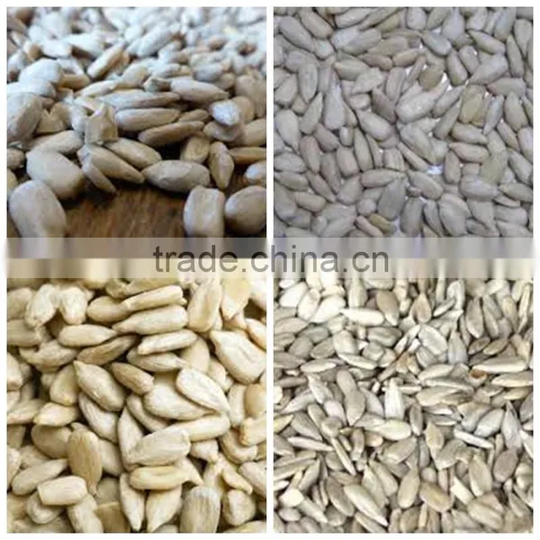 Sunflower Kernels From Factory Sunflower Seeds Manufacturer From China photo-3