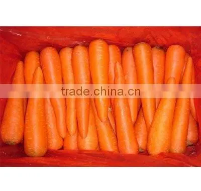 Fresh Carrot