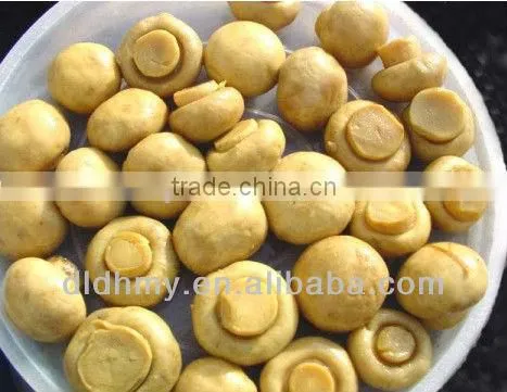 Fresh Canned Whole Mushroom Champignons